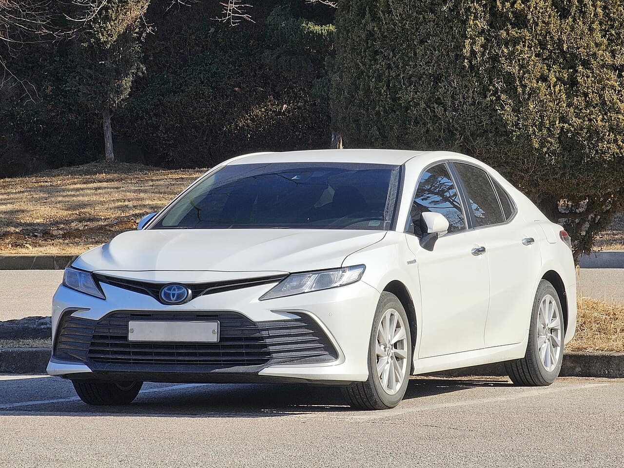 2022 Toyota Camry - model reference photo 2